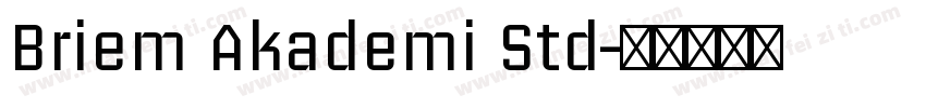 Briem Akademi Std字体转换